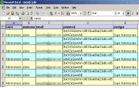 Excel Export